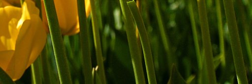 dddt_tttd's profile banner image
