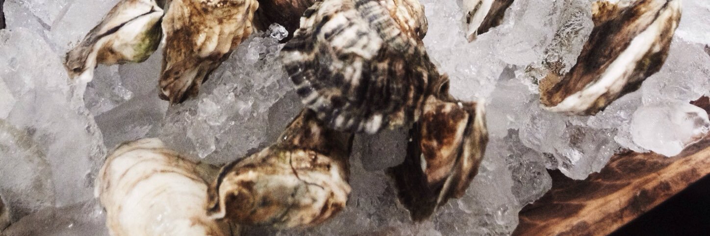 Julia Sullivan banner