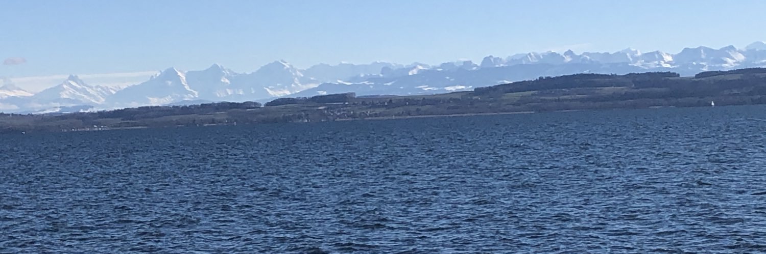 ladyrandom47's profile banner image