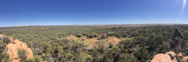 katrinasasse Profile Banner