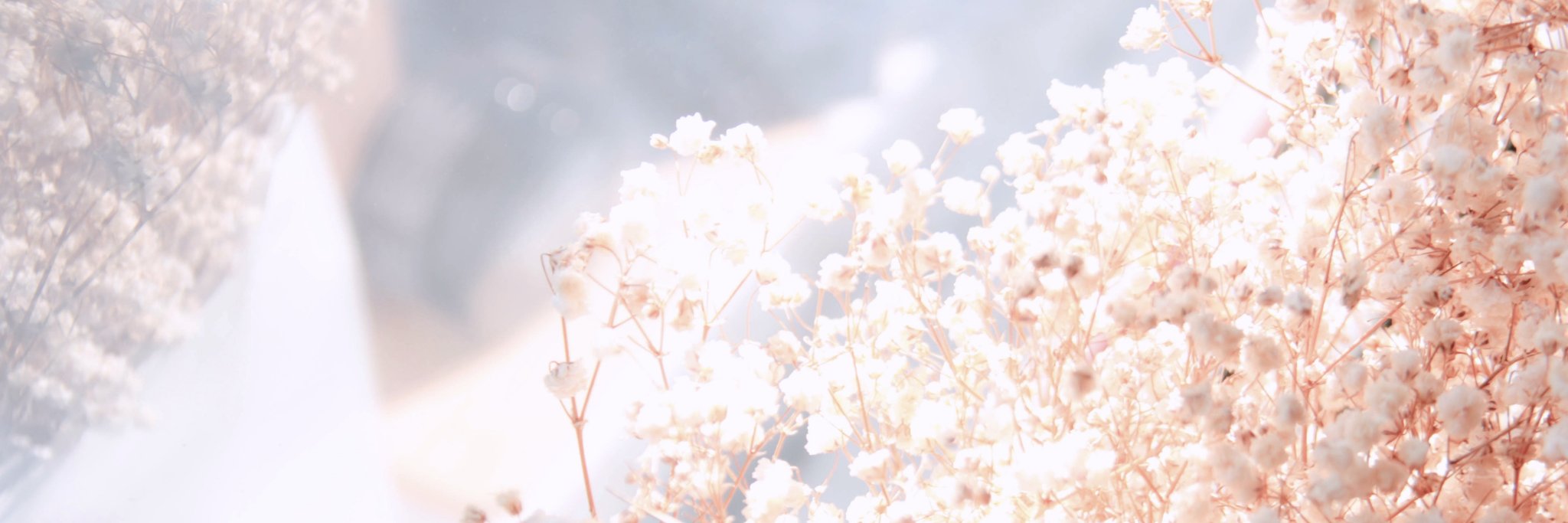 Dreamingless's profile banner image