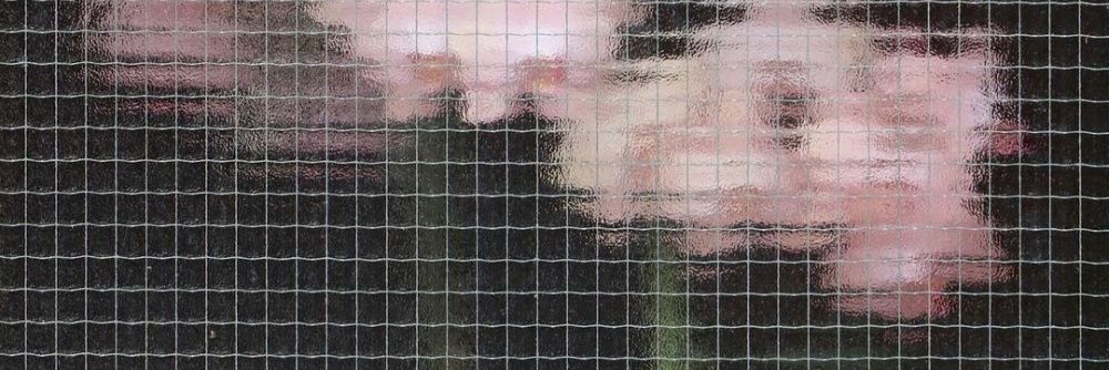 JONI banner