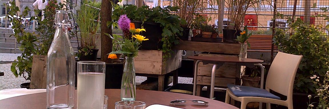 Linzer Ansichten banner