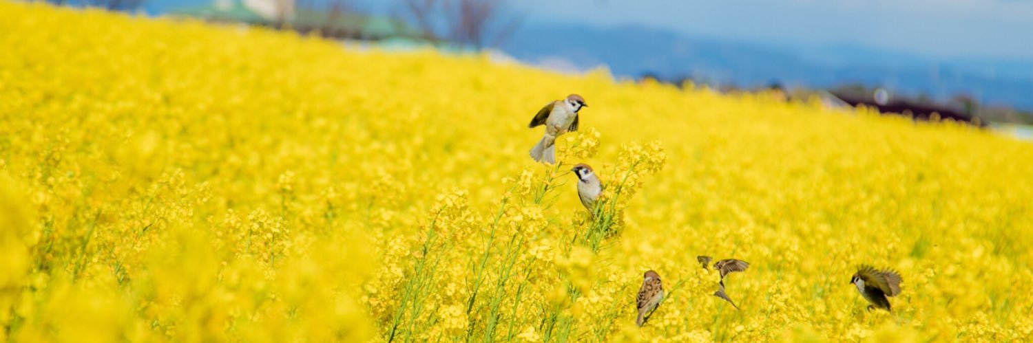 ふじさん banner