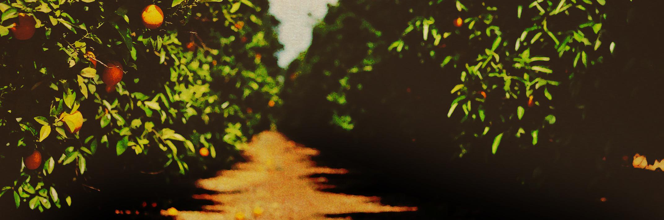 Joseph Dunham banner