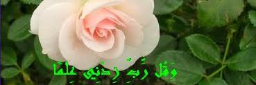 omdaelghaly's profile banner image