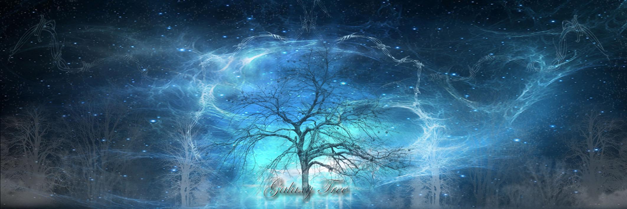 Pierre Calmard banner