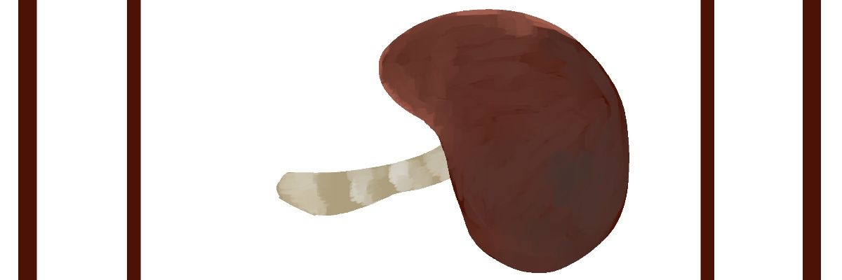 wizardry9393's profile banner image