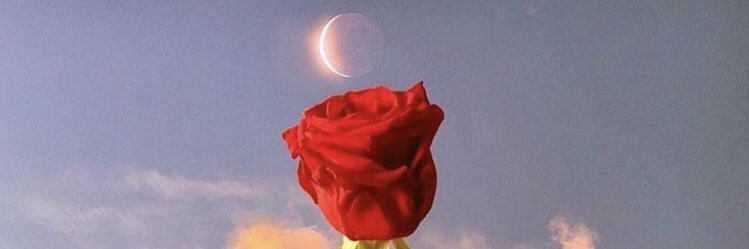 Tima_Fatima25's profile banner image