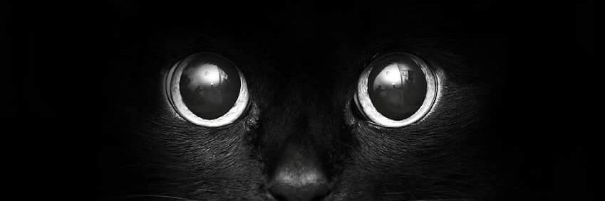 harold1598's profile banner image