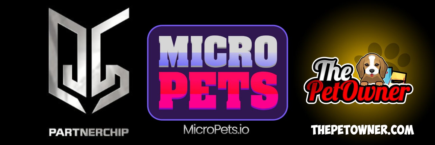 Irishdave - VP at MicroPets banner