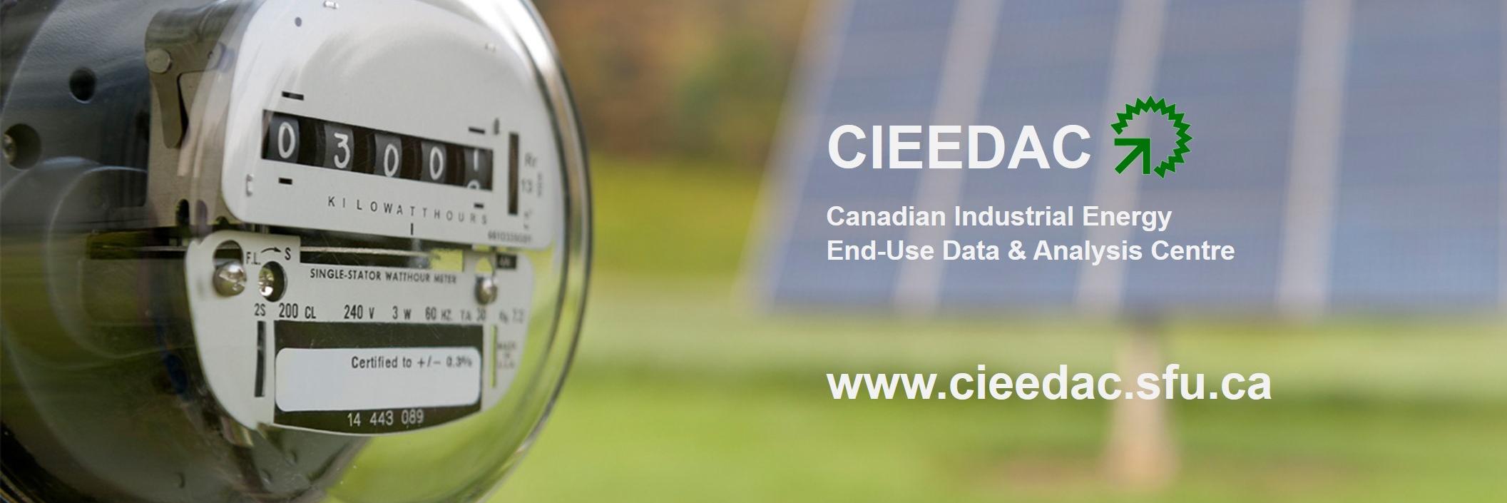 CIEEDAC's profile banner image