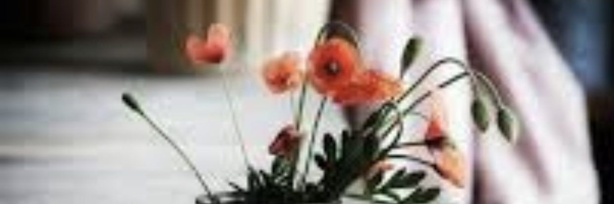 lolo41728's profile banner image