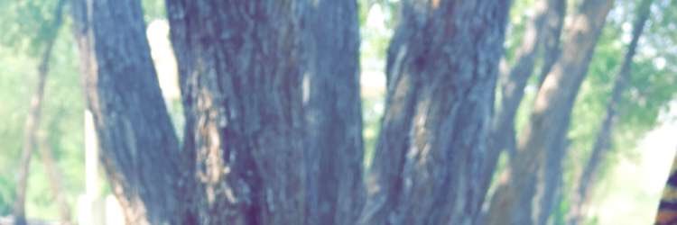 rtada_mo's profile banner image
