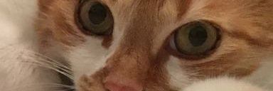 hnacar76's profile banner image