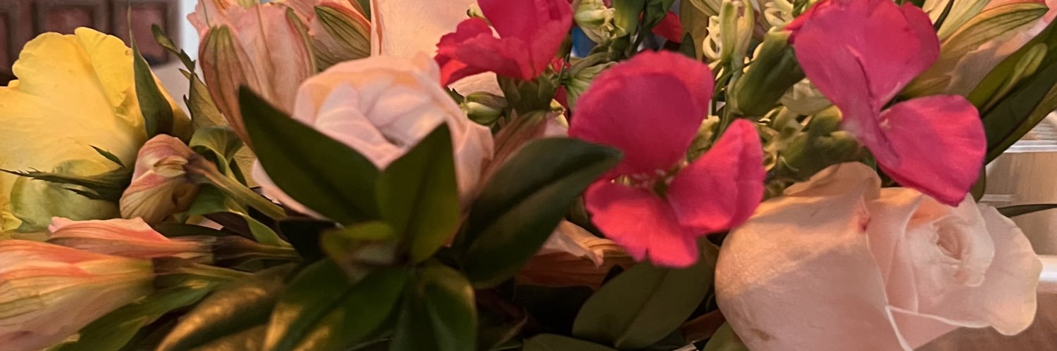 ♭ella banner