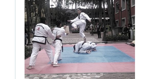 Tae Kwon Do ITAM banner