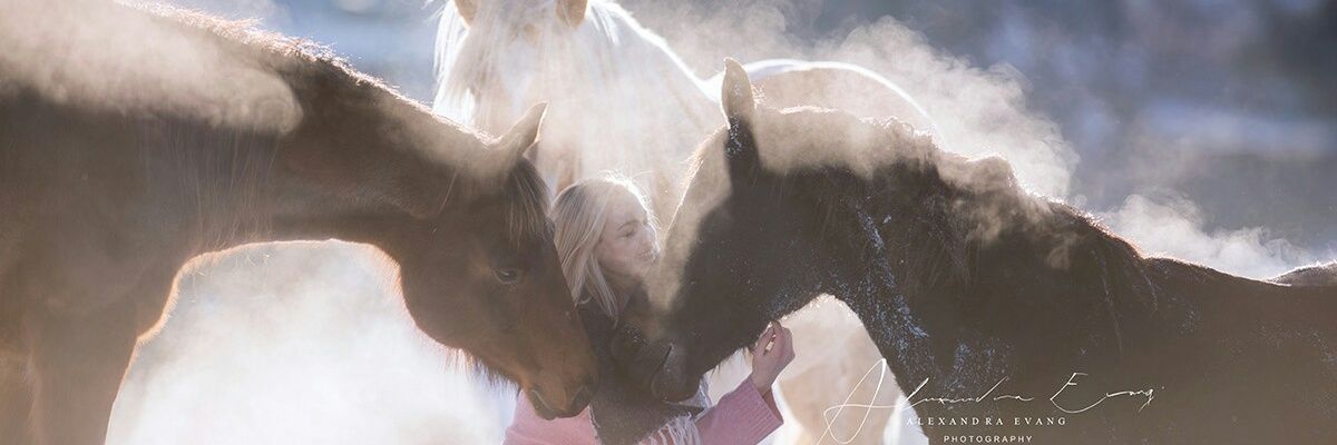 meinfaible's profile banner image