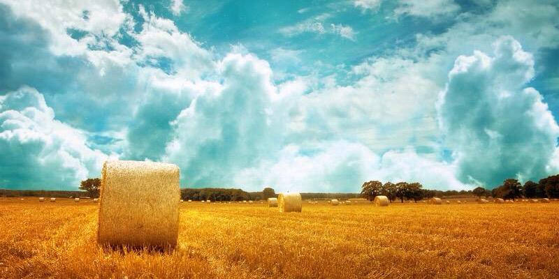 s3js3's profile banner image