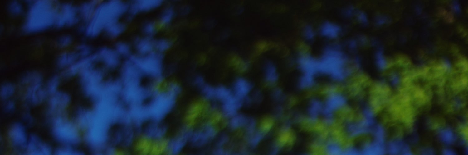 _joyceeno's profile banner image