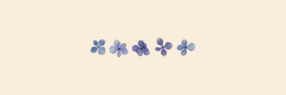 marievansss's profile banner image
