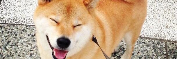 Doge_official's profile banner image