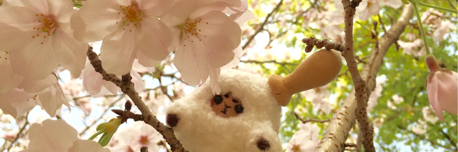 chimachikuya's profile banner image
