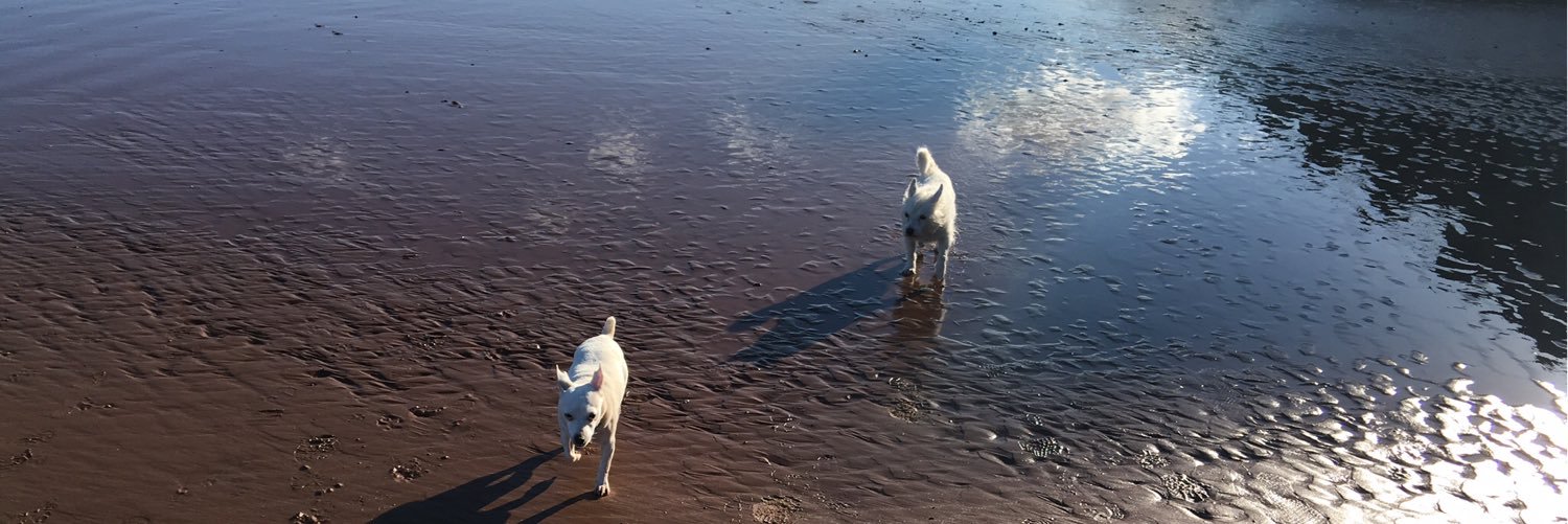 Justin Williams banner