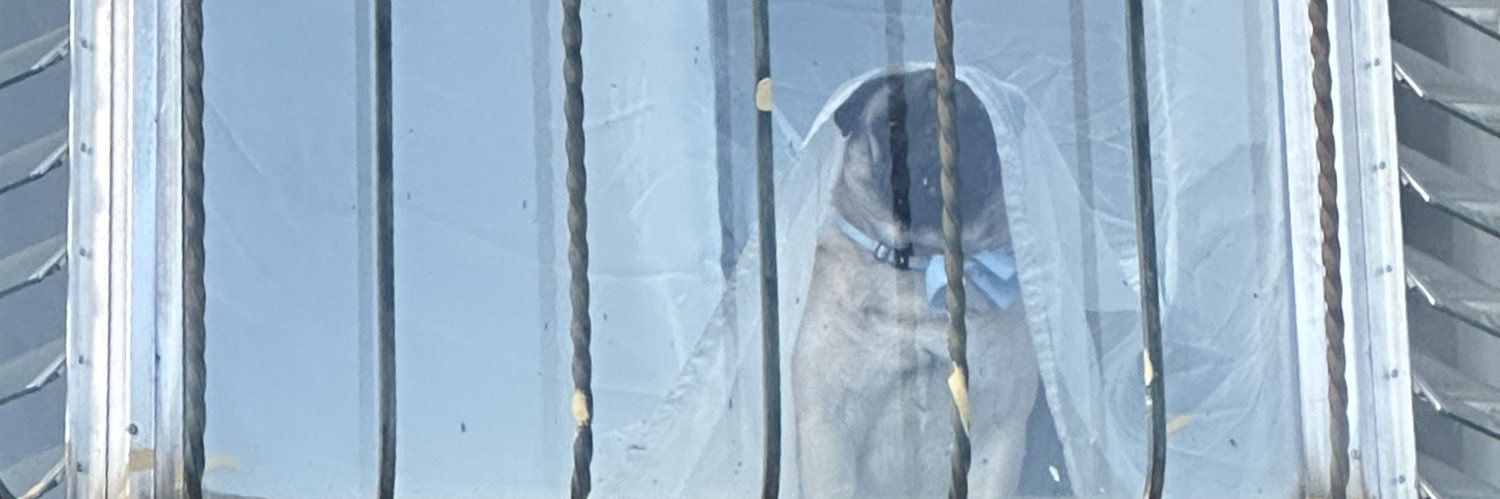 adlm_'s profile banner image