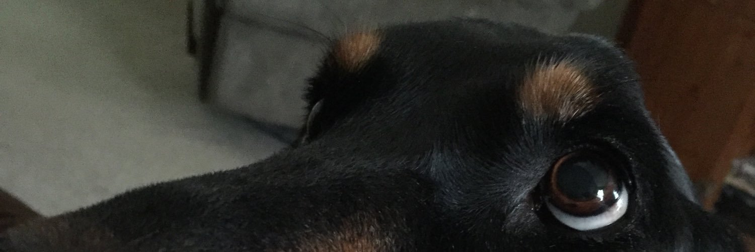 janenutshell's profile banner image