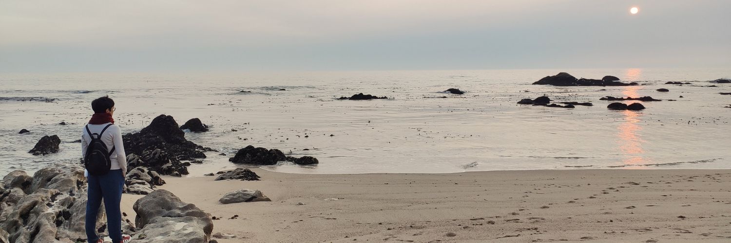 amejs's profile banner image