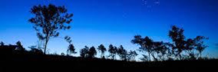 H9291a99's profile banner image