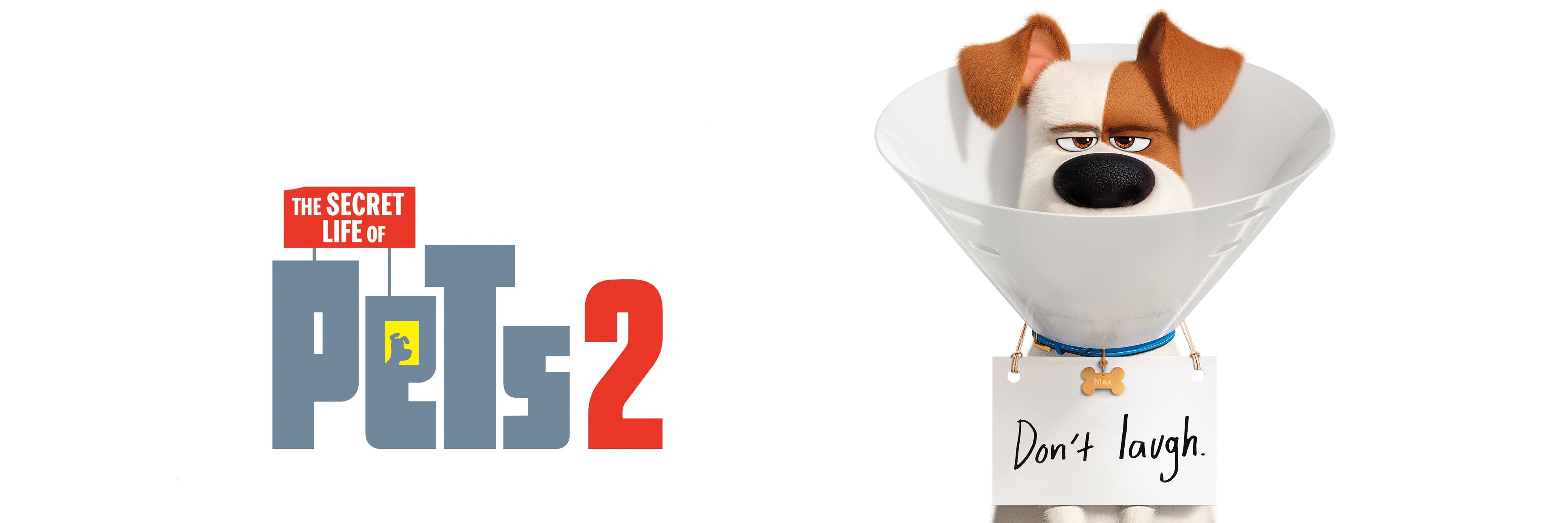Watch The Secret Life of Pets 2 (2019) Full Movie banner