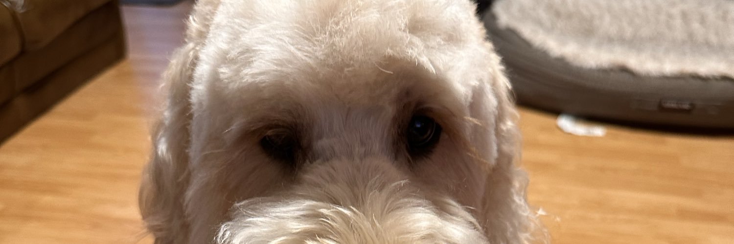 Andy • カズマ🇯🇵🇺🇸 banner