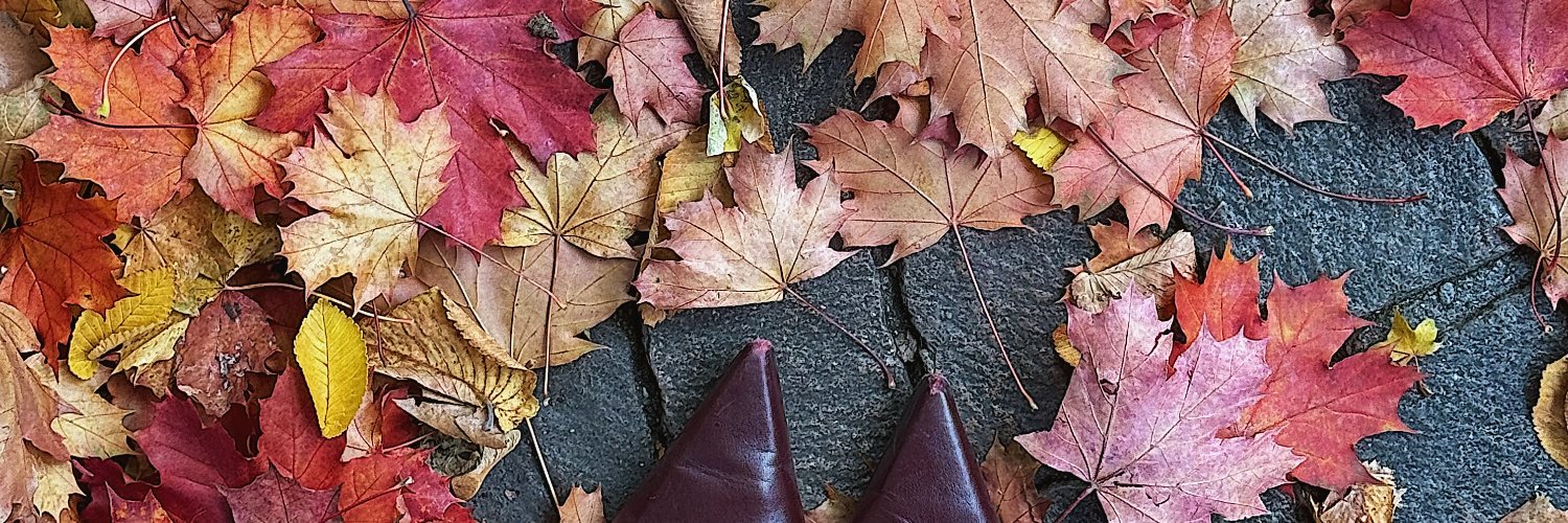 __florci_'s profile banner image