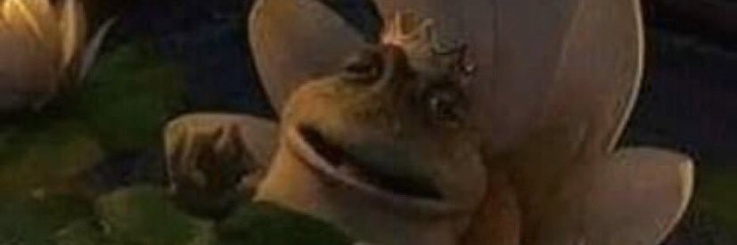 Memes4dayz banner