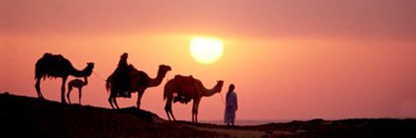 31_5o9 Profile Banner