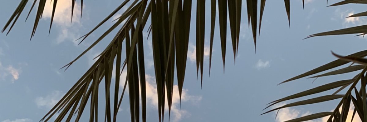 owdiiii's profile banner image