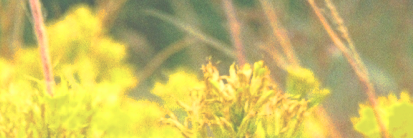 bRiLLyance's profile banner image