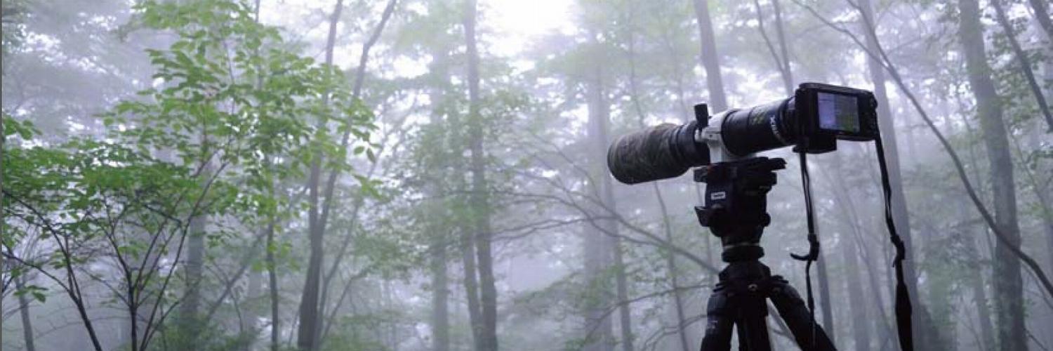 tomytec_borg's profile banner image