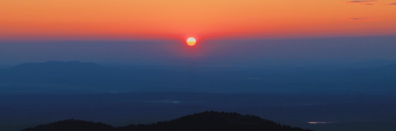Carli_Michaud's profile banner image