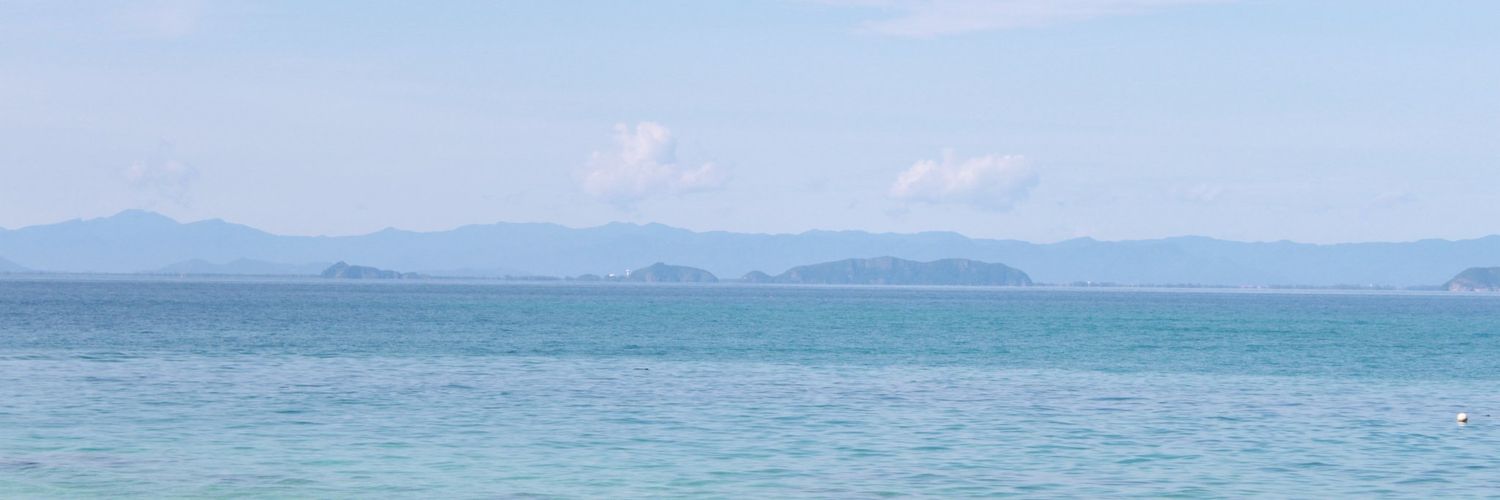 RayTheTree's profile banner image