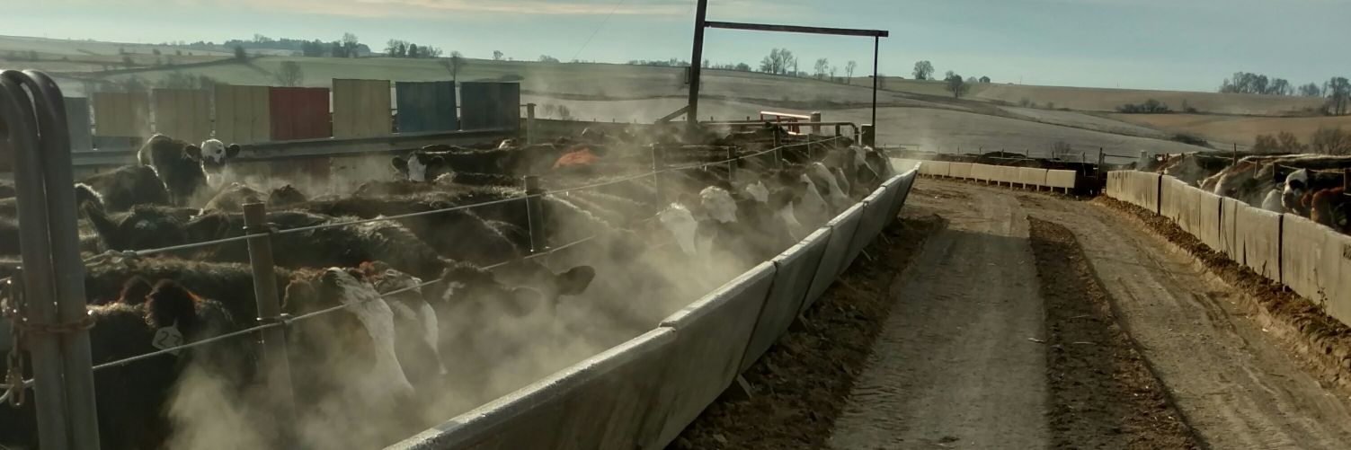 Mitch Kennedy banner