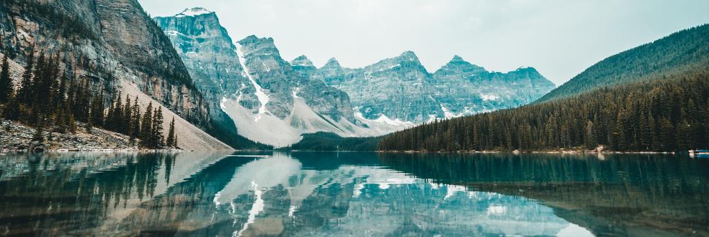 Calum Allison banner