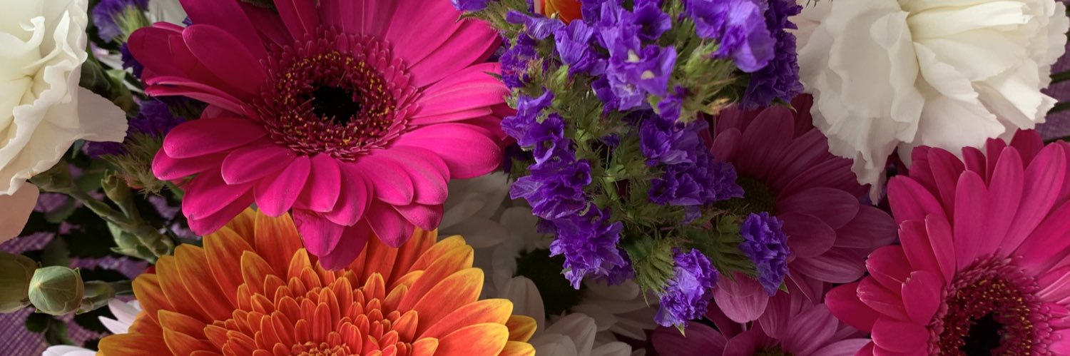 RosepetalsF's profile banner image