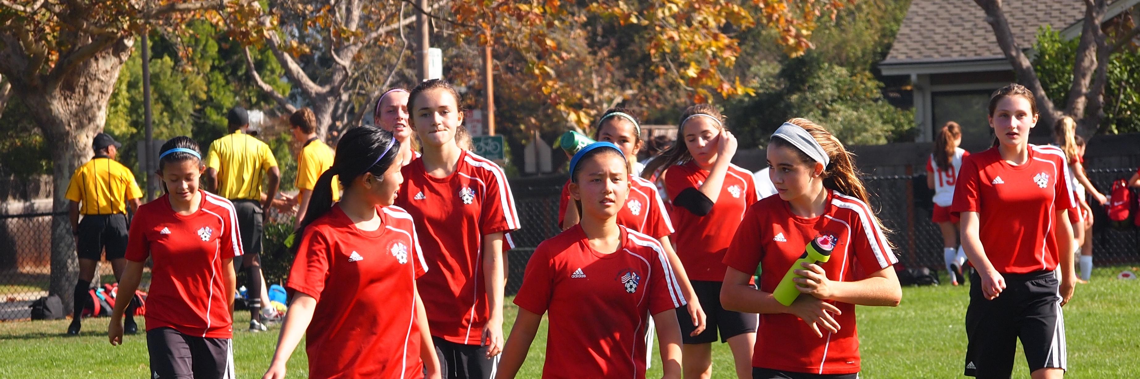 Alameda Soccer Club banner