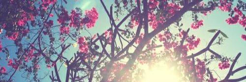 Sahra_bsl's profile banner image