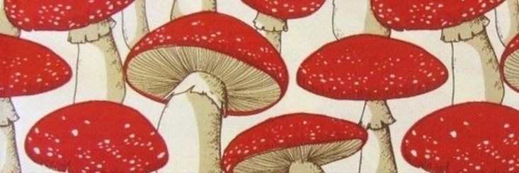 rainbowsnout's profile banner image