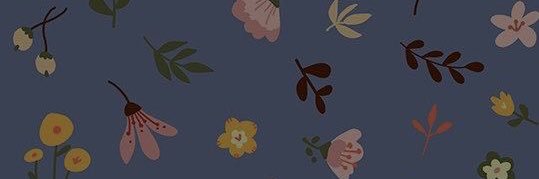 aranashra's profile banner image