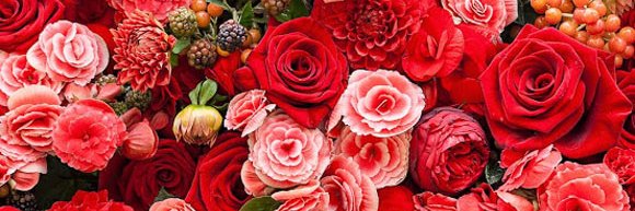 FlorTrabazos's profile banner image